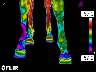 Dynamic Infrared Inspections